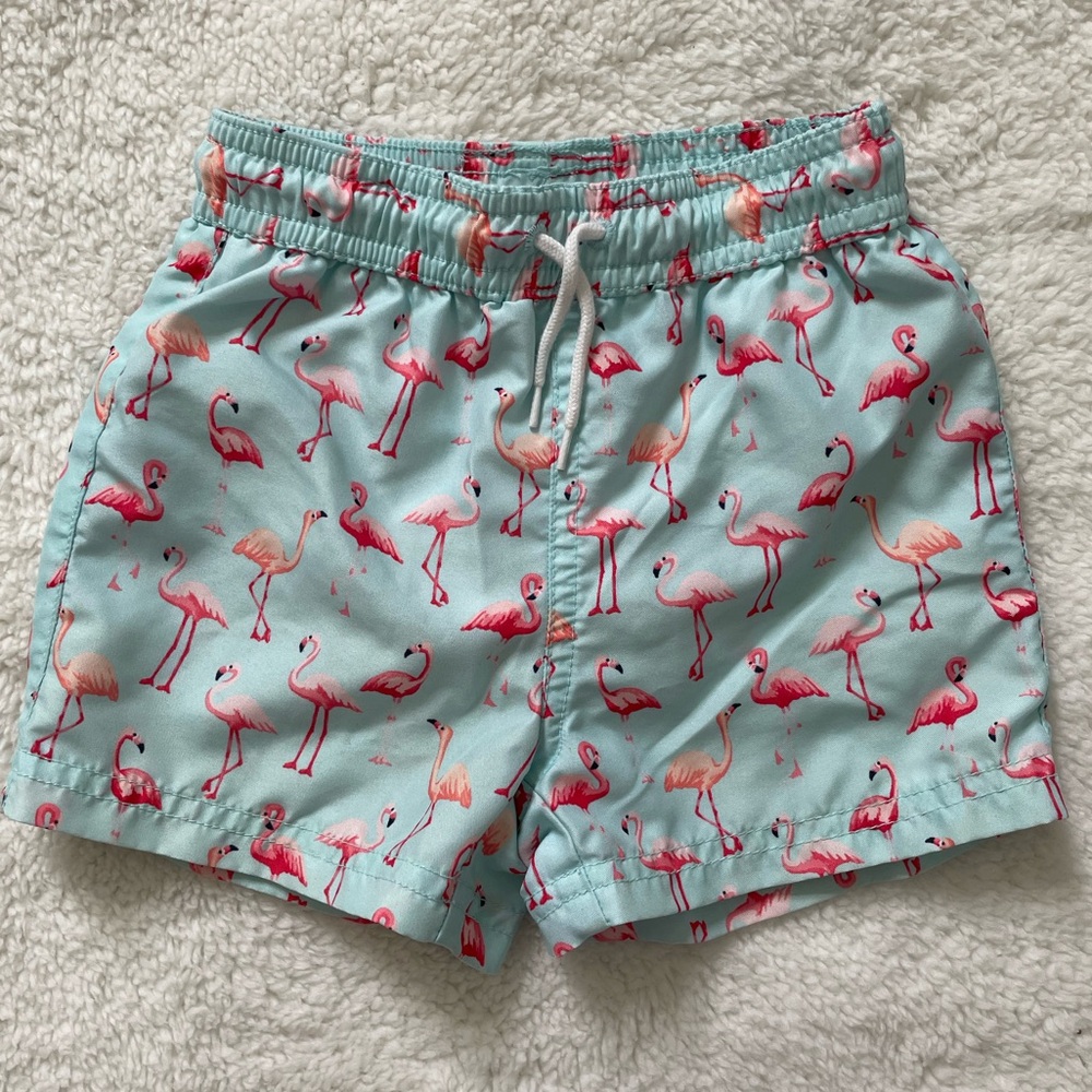 Janie and Jack, Boys Size 12-18 Months, Flamingo Swim Trunks